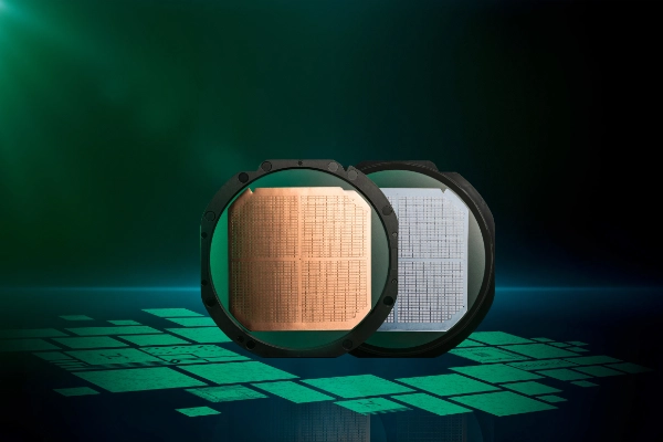 Wafer DTS gold and silver